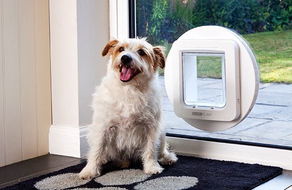 dog door installation cost