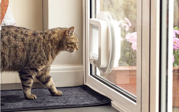 Installing a outlet cat flap